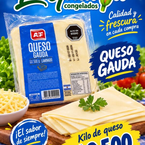 Queso Gauda Laminado AYF 1*1