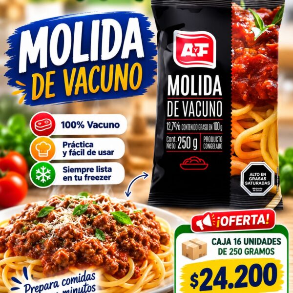 MOLIDA DE VACUNO 16*250GR AYF
