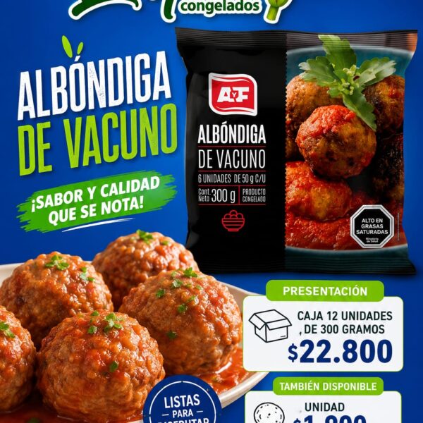 ALBONDIGA VACUNO 12*300GR AYF